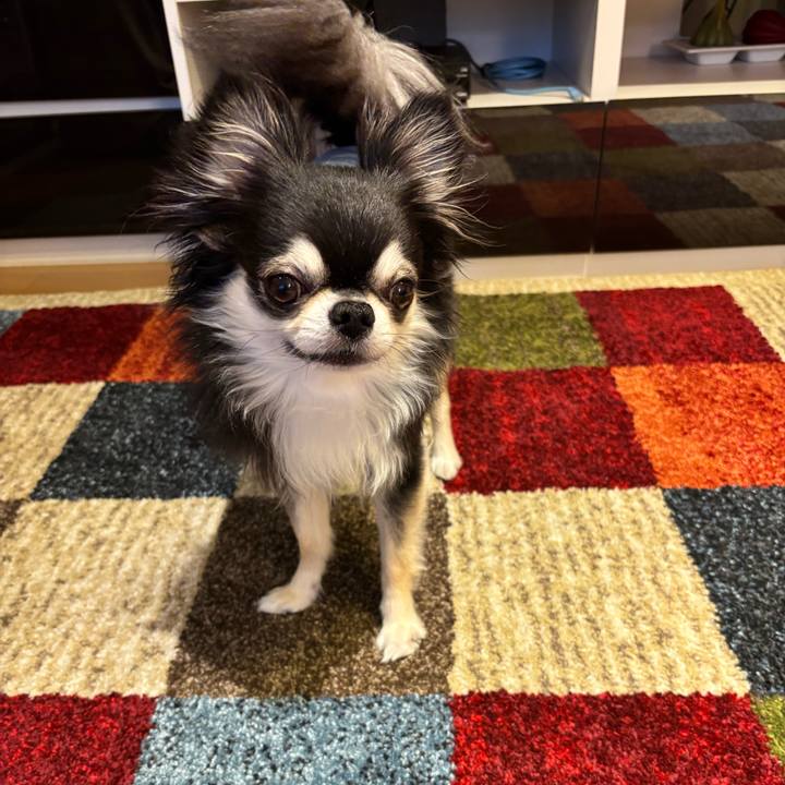 B96939af effa 40d8 ad7a e6674a416875 1746548880207