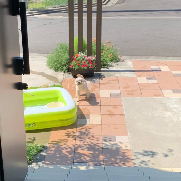 B9694c3a b49c 402b afc8 25a16279764c 1688992725332