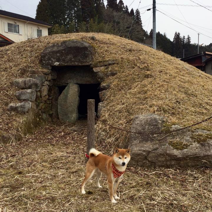 B9694fc8 688d 4aca 802e 153d6aa276b2 1518241523614