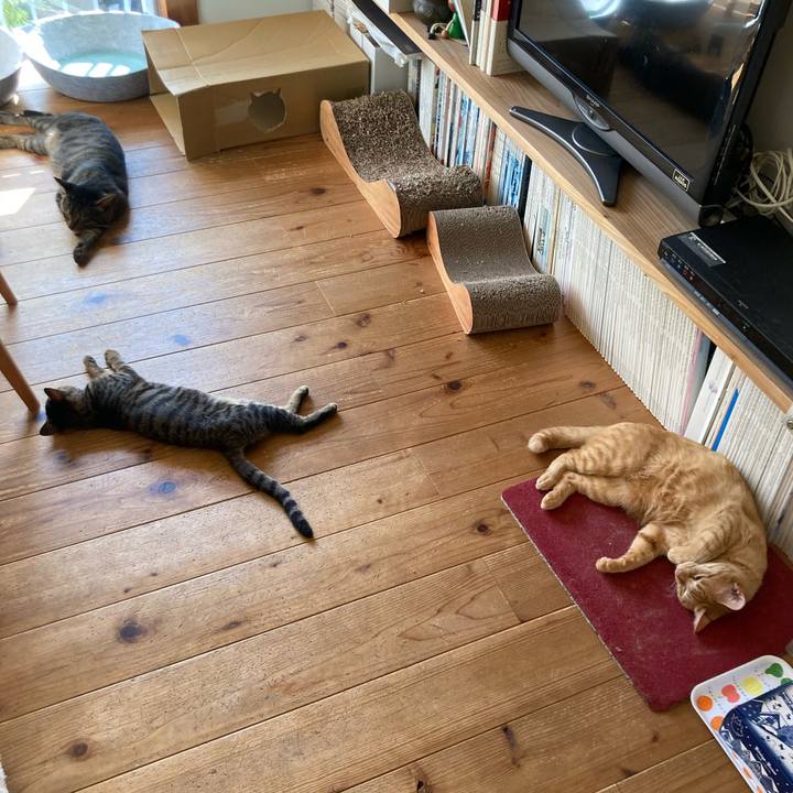 B96970c9 aa08 4e53 98e7 aca804168c34 1666349743088