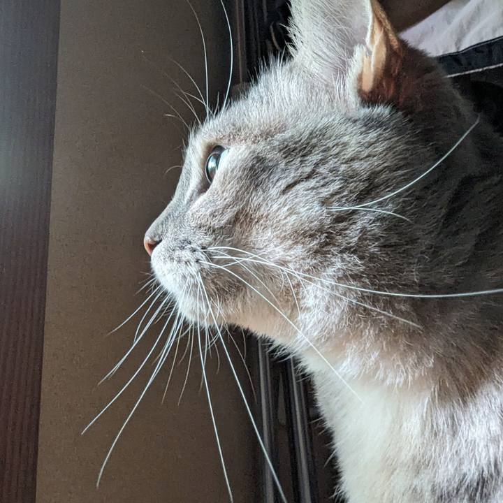 B9697847 ccb9 48fd a782 77946bd6c8f7 1713503506305