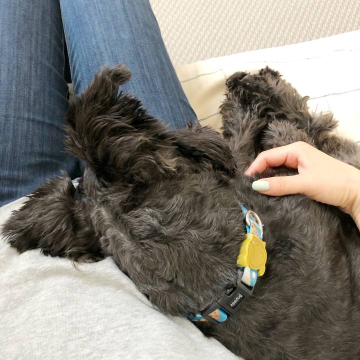 B9698dea 878e 42b2 a38f 3695dbcb62e3 1587602630718