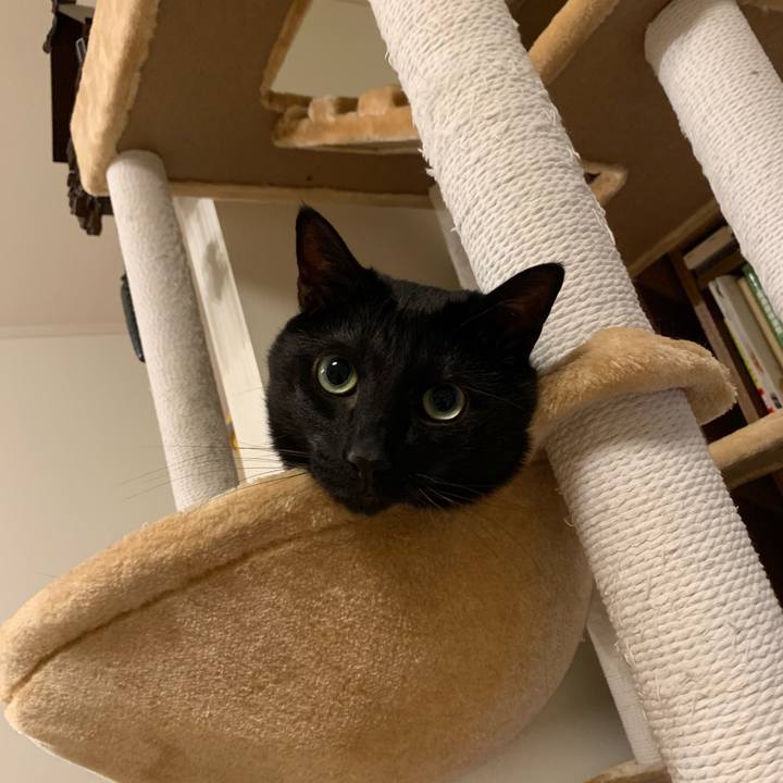 B969d91e 3ba3 43d4 b10d 32da470c3035 1617806104155