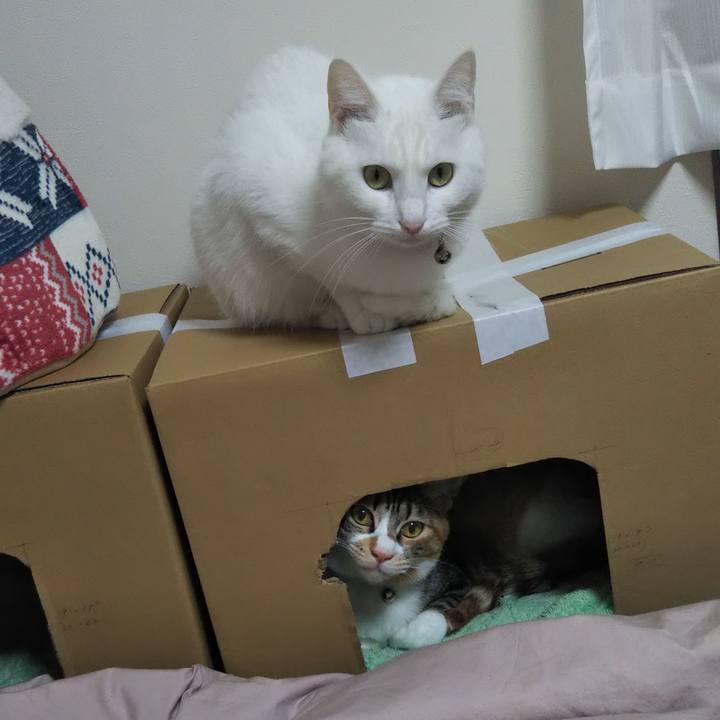 B969f95d 3db2 413b bea3 000a7d910c11 1675903625528