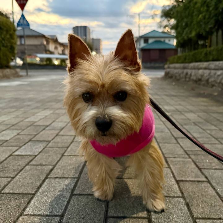 B96a145d f22e 4a0b be4c d290976757e3 1765271411234