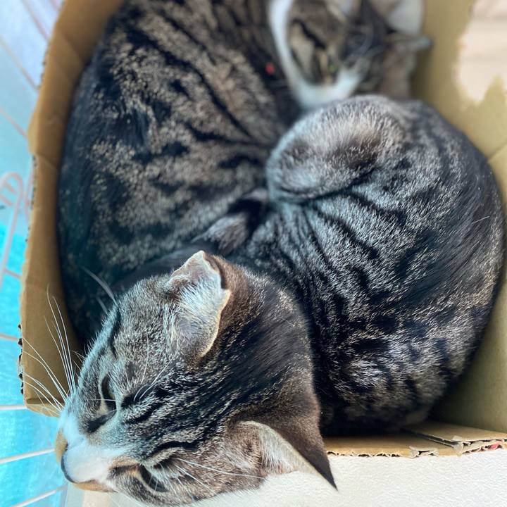 B96a88f7 d051 4623 a187 a5302d0c5054 1707624151851