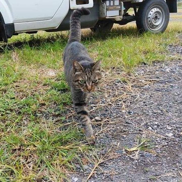 B96a8bfe 8d34 48cc 87c6 641dcf9ffe63 1634255367561