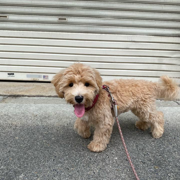 B96a9265 8493 41d9 8769 12f31e3f99be 1756978143501