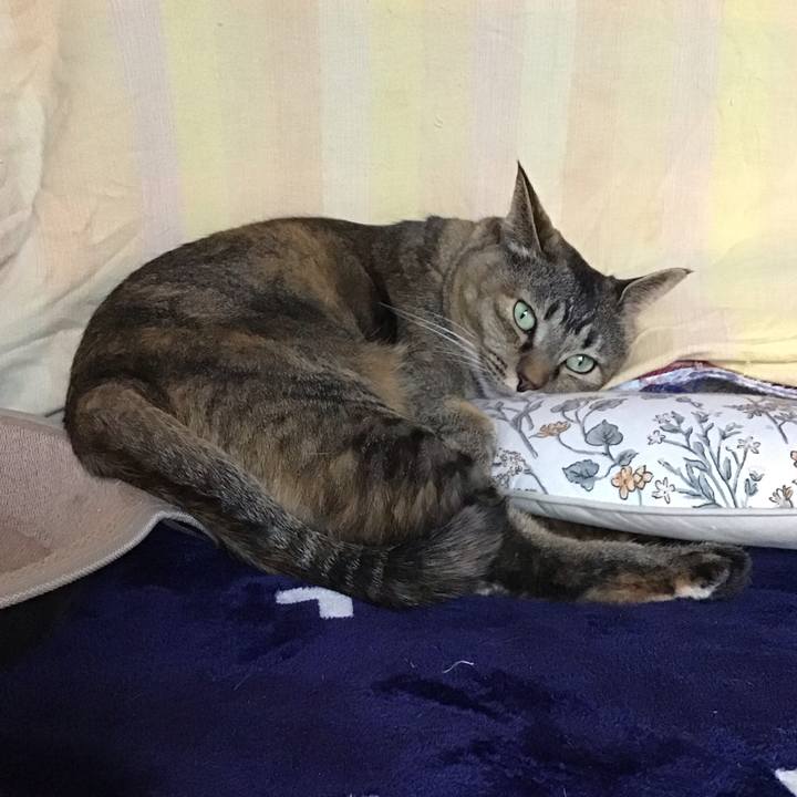 B96aa6c6 5305 4aeb 9916 16b25c4f3797 1734939882236