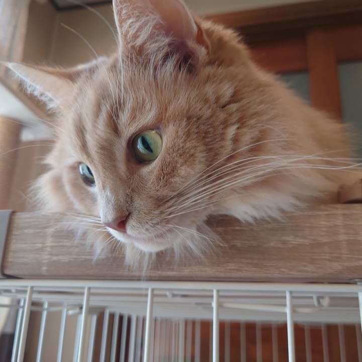 B96aaa1d e773 4d18 a2b5 b16e904329a0 1697074591905