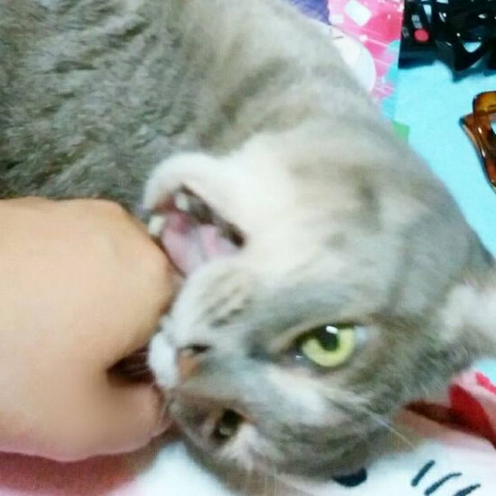 B96aba0e 0480 428f 8086 6ee0bc32b860 1535994302644