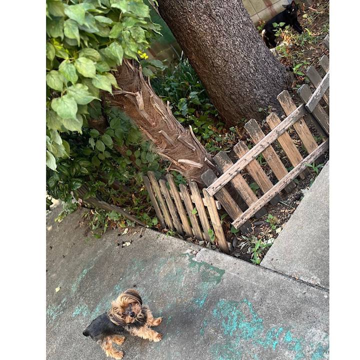 B96ae6b2 f791 4d90 897c ed6b4e3dded0 1692394680213