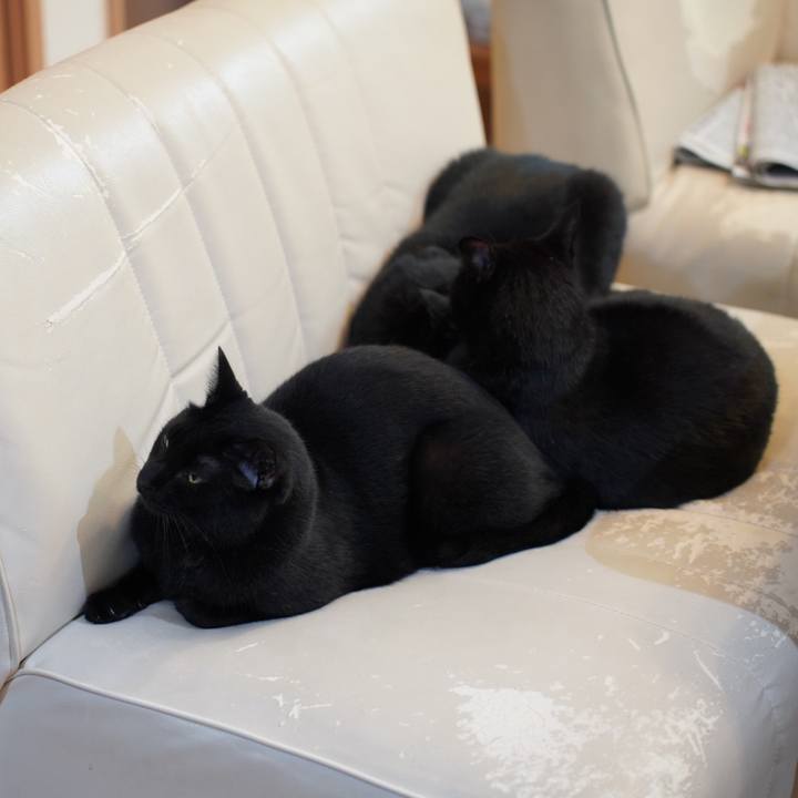 B96af34c 9742 47fa b8ab 1c2e4628c620 1659311733675