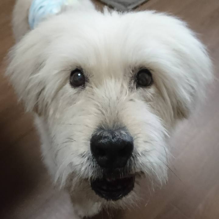 B96af9e5 dc1a 4386 9ea5 9f622b640366 1577859775149