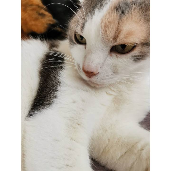 B96b39f6 d1ad 4e99 b59f 74dd9ab1bd71 1678077128397