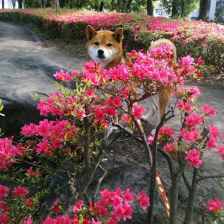 B96b3fea 8ea5 428c 90a3 edac5907ab13 1524096911483