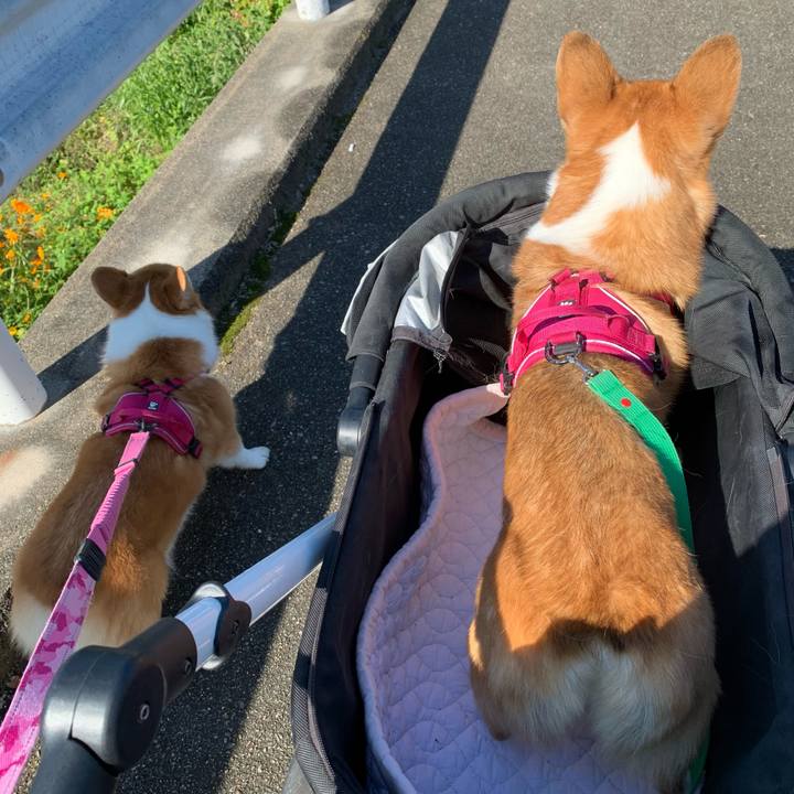 B96b5b57 4e2d 45ed acea f6288abc5bee 1632270717337