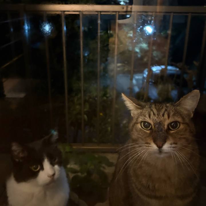 B96b5e1a 0363 47a8 ad91 27df60822573 1761779949496