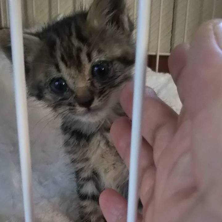 B96b6285 9858 44e6 a6fc e5343e6f7399 1632007695818