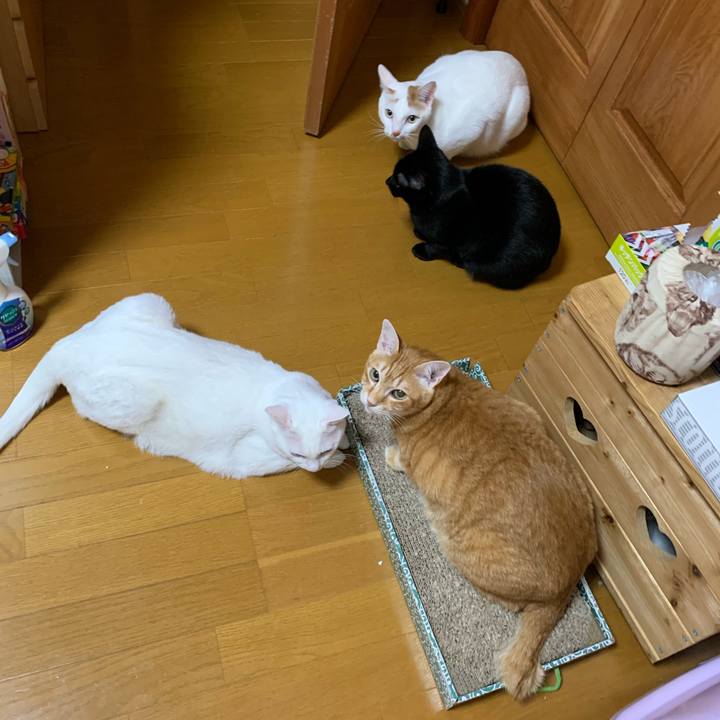 B96bd0e6 abe7 4b88 960d 989dba2d688e 1610052857674