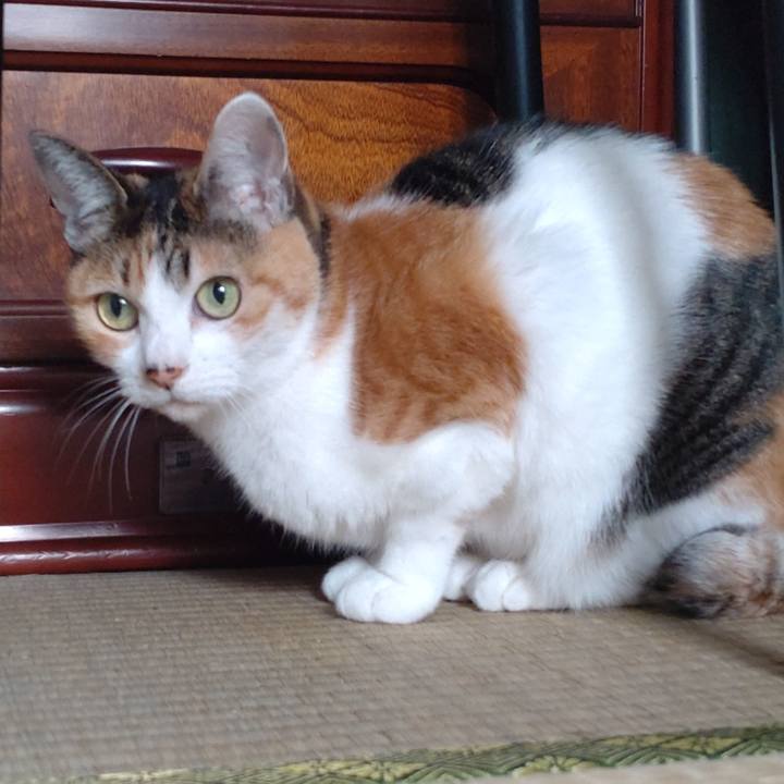 B96bd423 146b 49a3 8eca e8a5cd18a21c 1666408614860