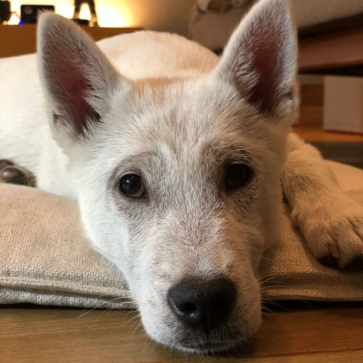 B96bdbfb aca8 4527 a4f9 e9897702c0fd 1515508343007