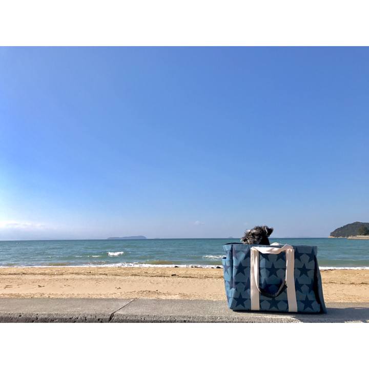 B96bf23f 1228 40b9 99cc ebfaf3207e79 1549507924368