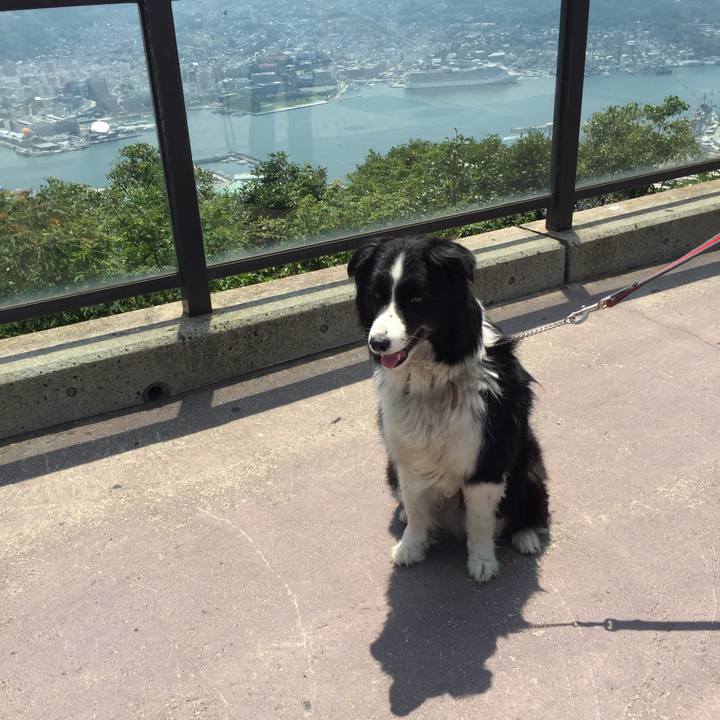 B96bf75e a20a 4c5e 9849 70aebe53c652 1531729330444