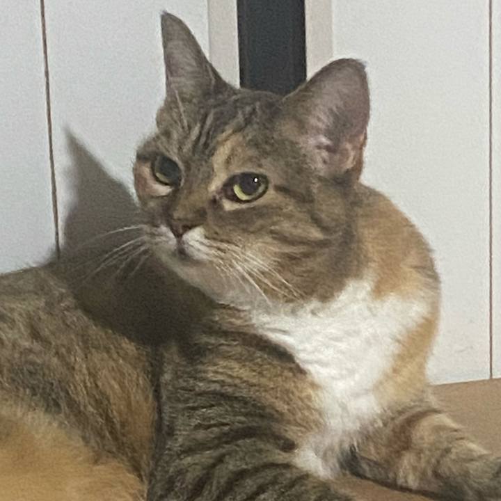 B96c00b3 d43c 46f7 9454 e60a12cfd61f 1723984714715