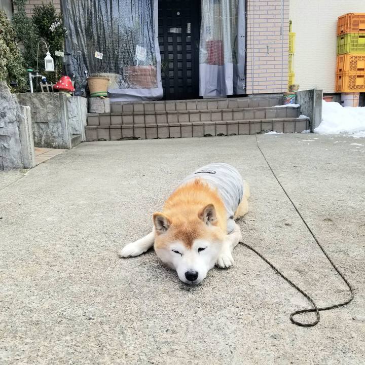 B96c7346 0aeb 442c a0cd c201b6484ff9 1676683786387