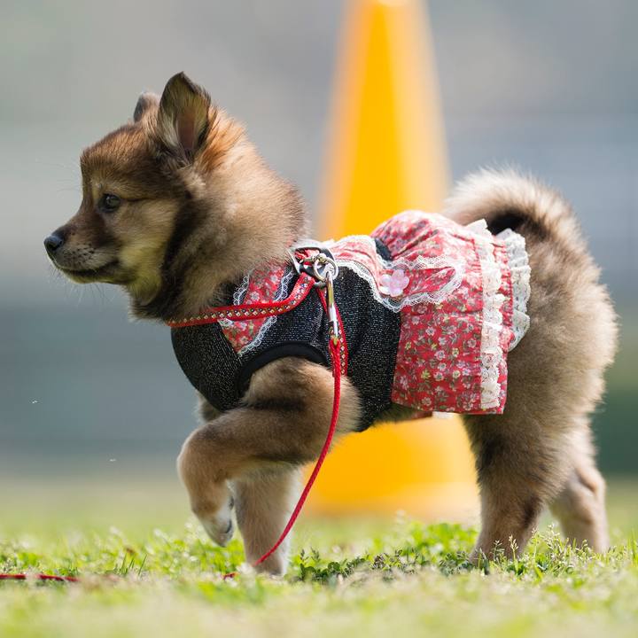 B96c938f 4c51 4a0d 9650 78d1fe3c8be0 1522111832044