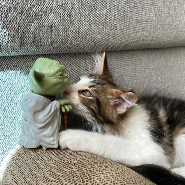 B96ce104 7a33 4f98 a0c0 5ac5f09dea52 1632544570845