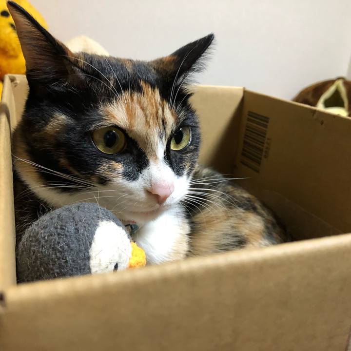 B96d03d2 0bd1 49c4 b7cb bb240428fdfe 1585817964754