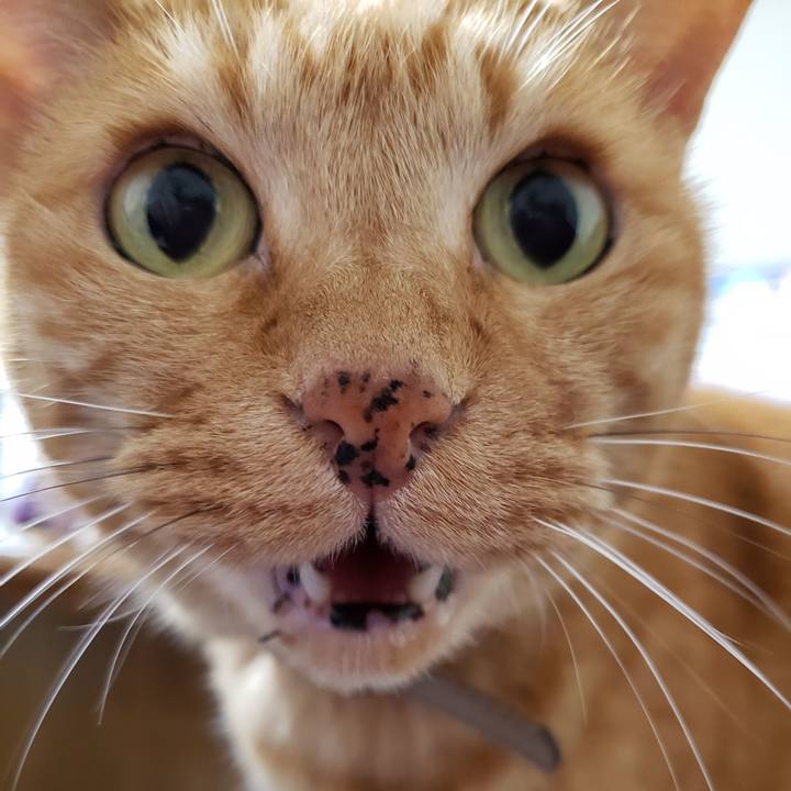 B96d10f0 ef47 4628 bdf7 1b6631b19e3d 1720236335789