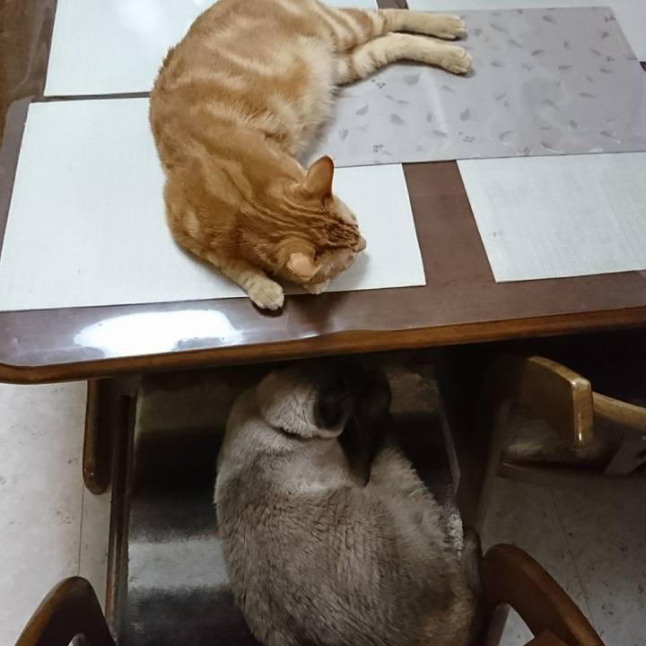 B96d111a 5426 41a9 b155 df42792924c8 1514719949274