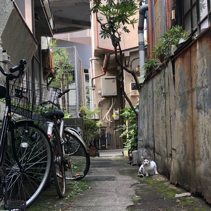 B96d3b99 59cf 41bc 883c 69d22cb7032f 1566720566177