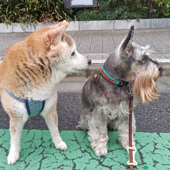 B96d8293 a744 422a 97b0 d8149a0e531b 1759209150160