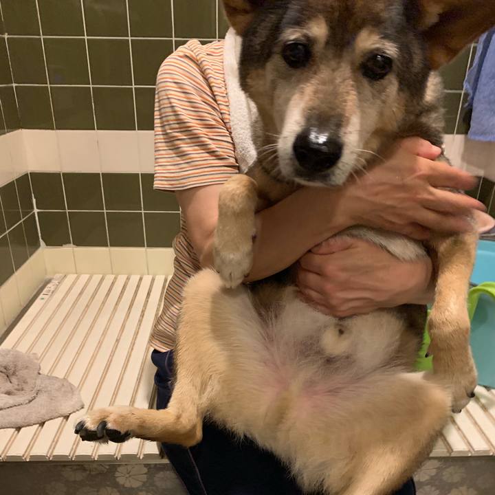 B96d84c5 0c12 434c 9647 81170492fd85 1563019550524