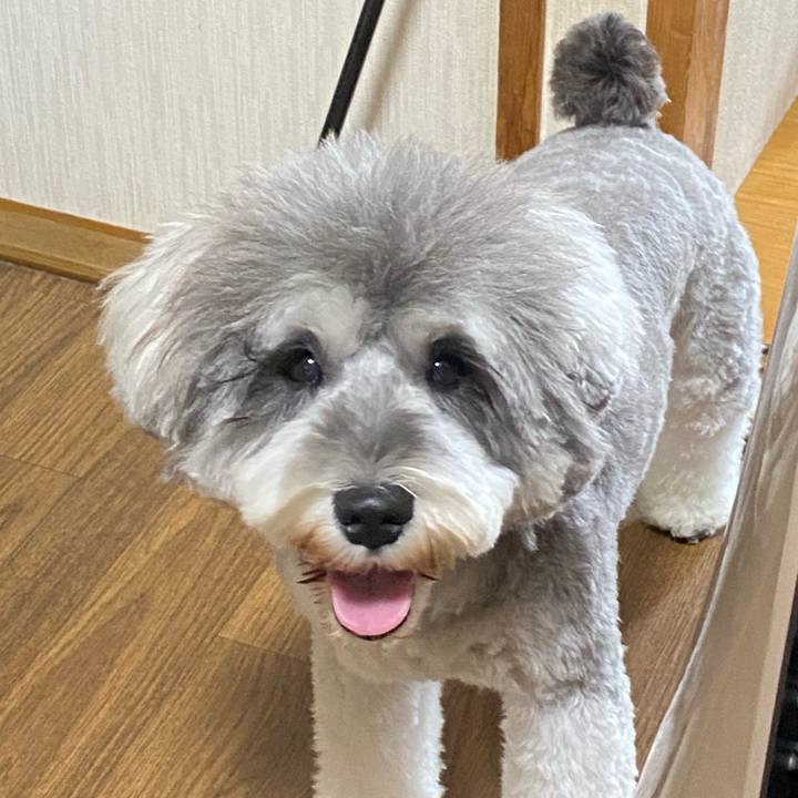 B96d8b35 fec0 449f a069 234dc096fe85 1600576548818