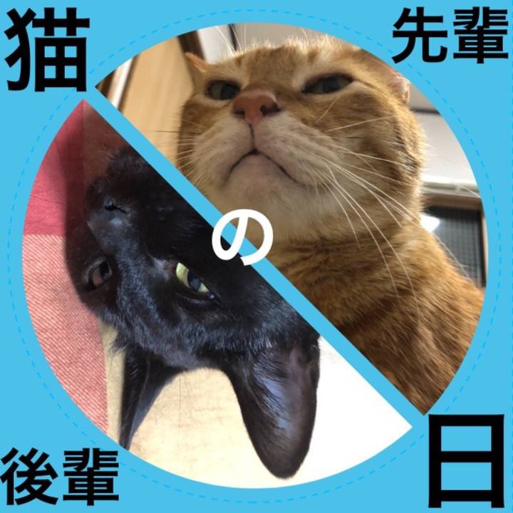 B96e17b2 e74b 47f2 8928 c6bf3ad54468 1716385517429