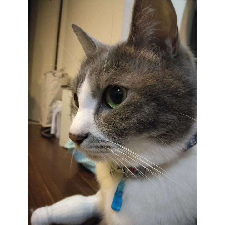 B96e5f07 e277 40f4 988e 7f64601a5ff6 1687436517073