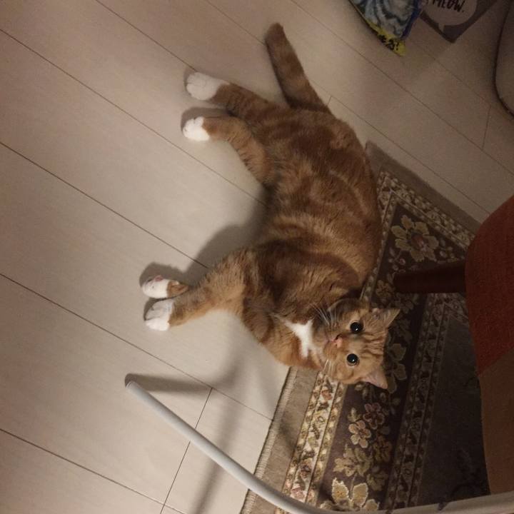 B96e6519 b4b5 4e95 95c9 69a62102e152 1529503869429