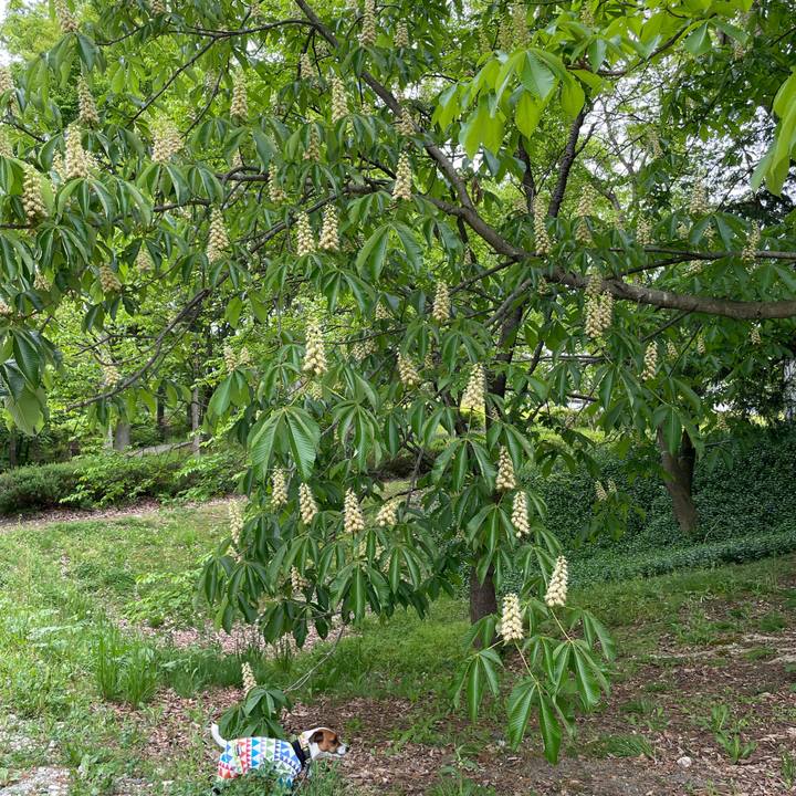 B96e7646 3399 4b58 8571 c57f9361dd3e 1652083811551