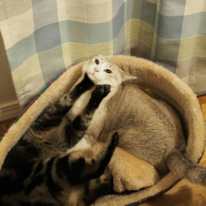 B96e8811 29f7 4df2 9341 92a8dc9b38f7 1541932160080