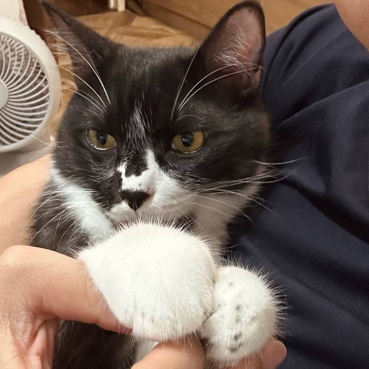 B96e8de2 d700 4f1e 8a69 43b2681b019c 1753273208483