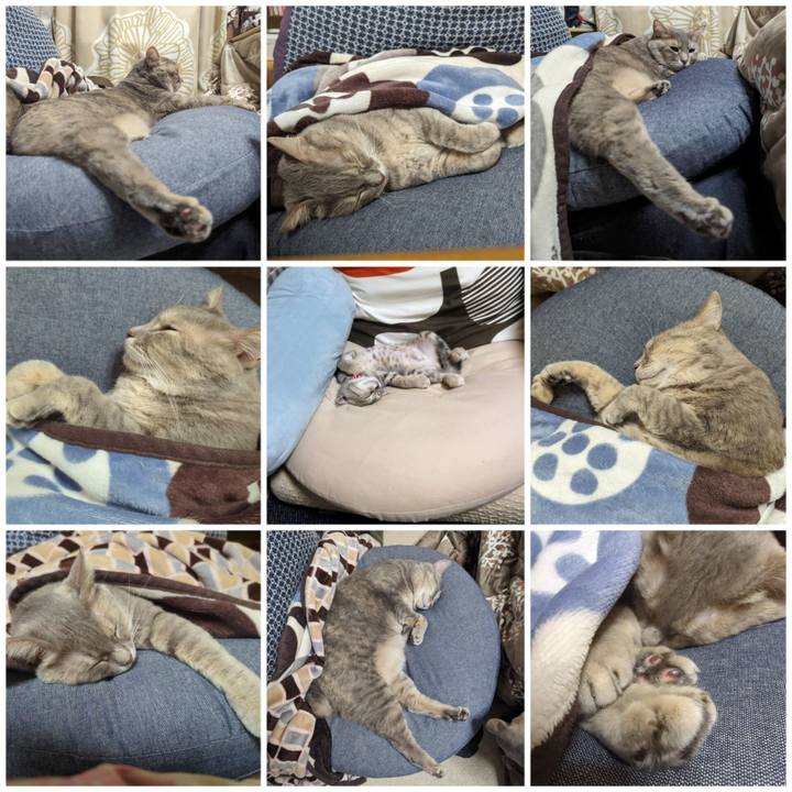 B96e93d9 4bd6 4dde b71c 6af8831d324c 1700380957824