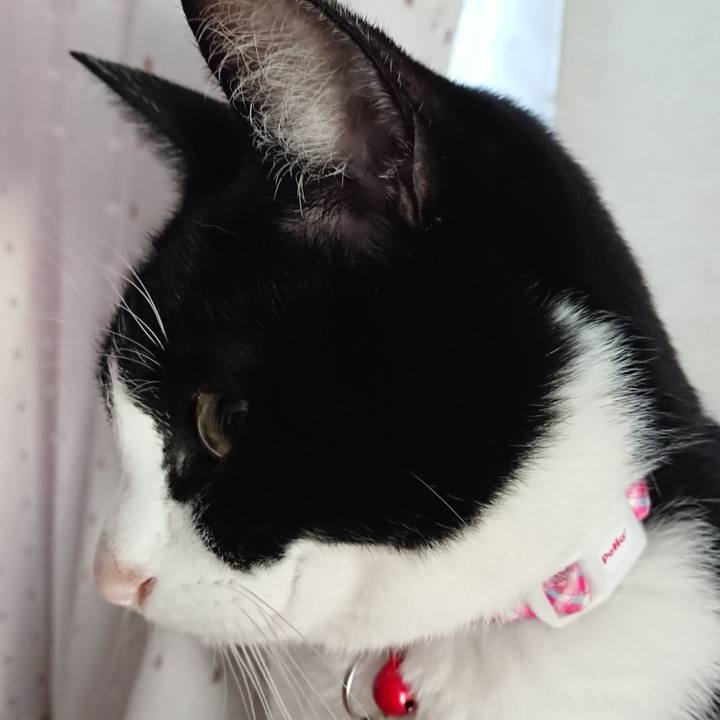 B96e9644 d590 4959 b79f dd46c0555adb 1611362180953