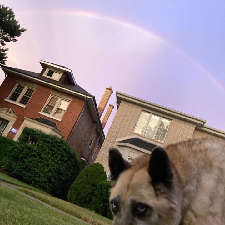 B96ed82a 961a 4b8a 907c b6c6b252aea7 1594578485409