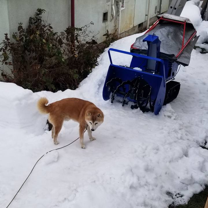 B96ee8fd 898d 4843 a8a8 8b777ed41397 1738457369854