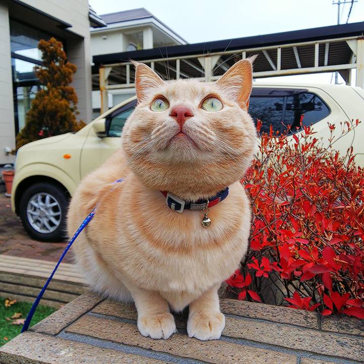 B96f121a 7cc4 4135 ac4d 4b48361b7223 1606452618075